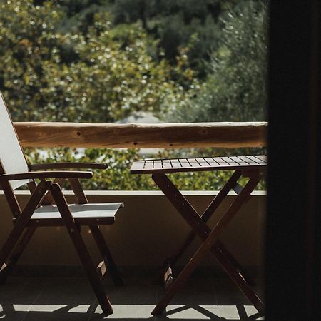 Acropolis Mystra Guesthouse ミストラ エクステリア 写真