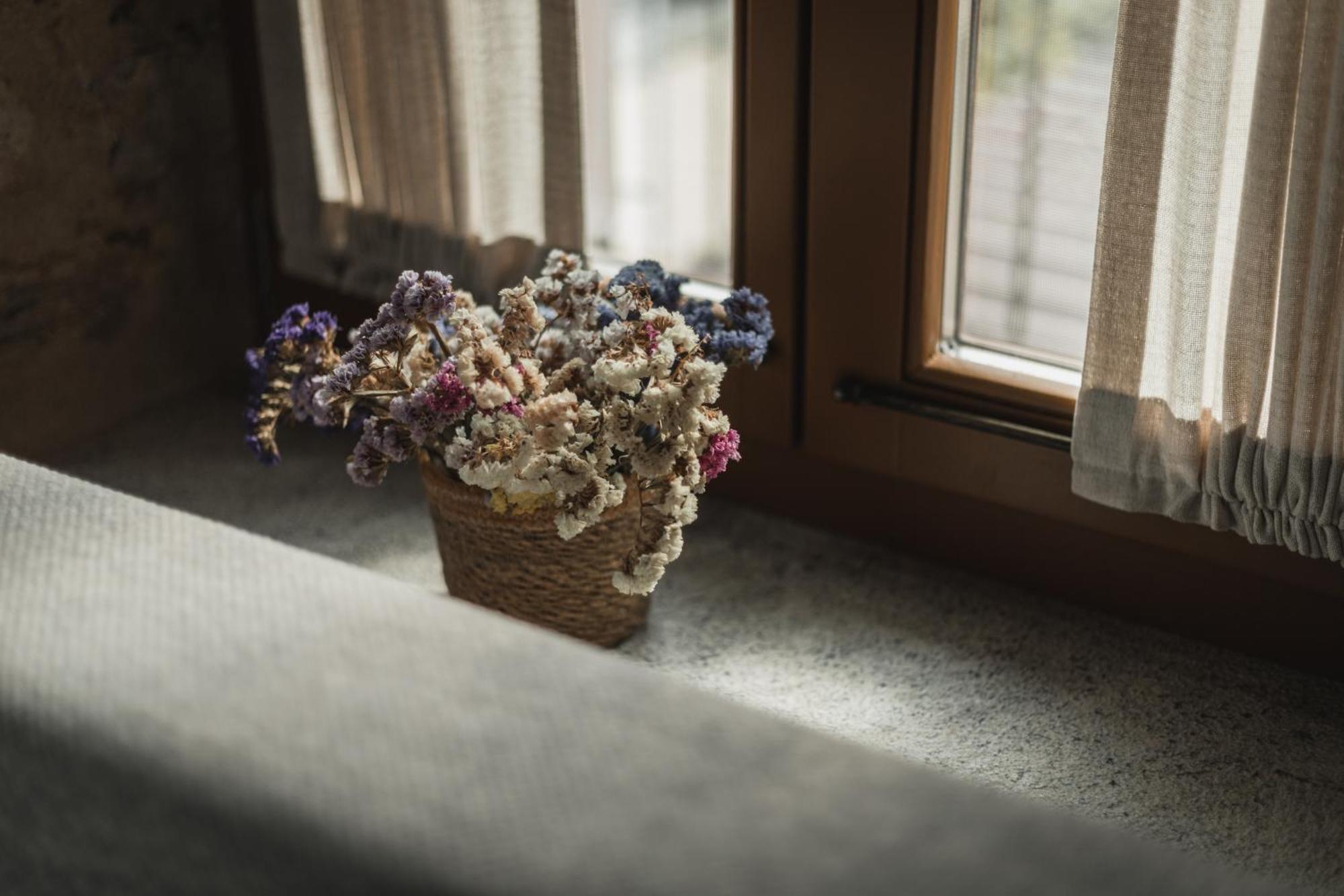 Acropolis Mystra Guesthouse ミストラ 部屋 写真